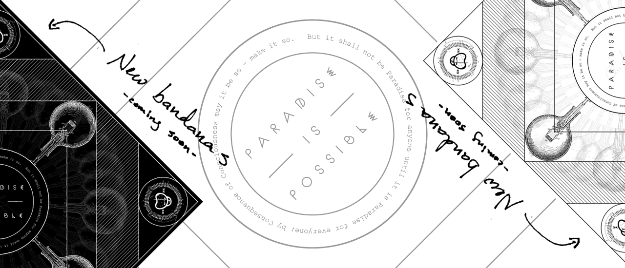 slide4